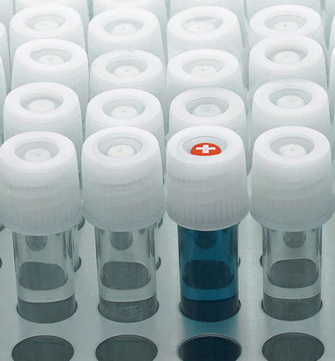 Celergen Inhaltsstoffe